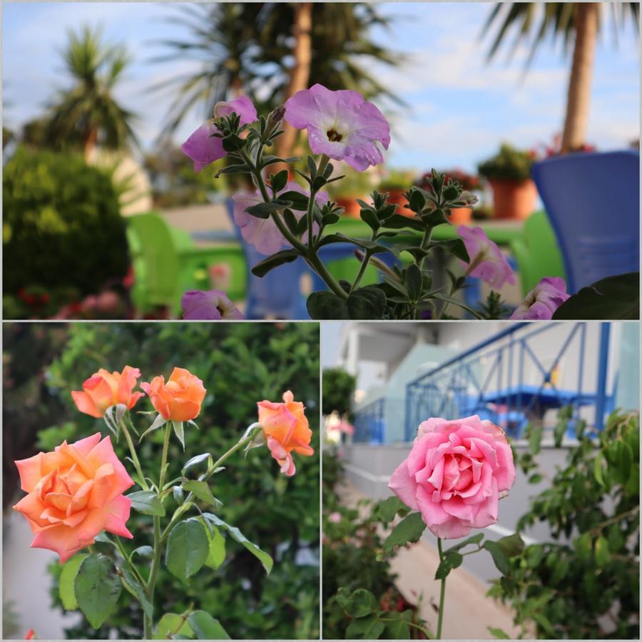 סרנדה Erdeti Boutique Hotel מראה חיצוני תמונה